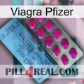 Viagra Pfizer 35